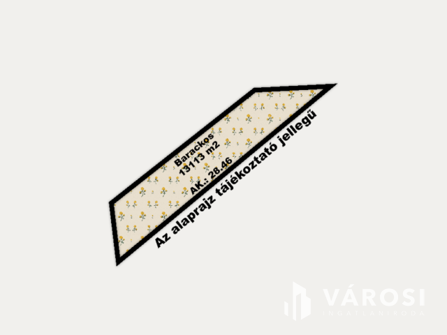 Bordányi barackos idei terméssel együtt Eladó