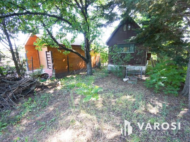 Hangulatos nyaraló Fóton!