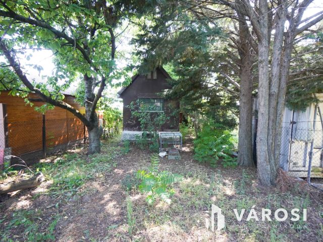 Hangulatos nyaraló Fóton!