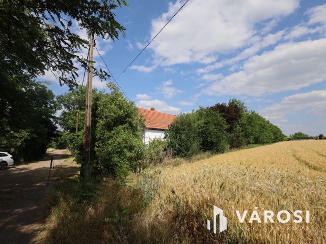 Eladó tanya Gyulán a Kálvárián