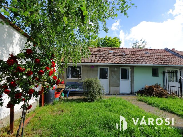 Lakjon Ön is a Kertvárosban!