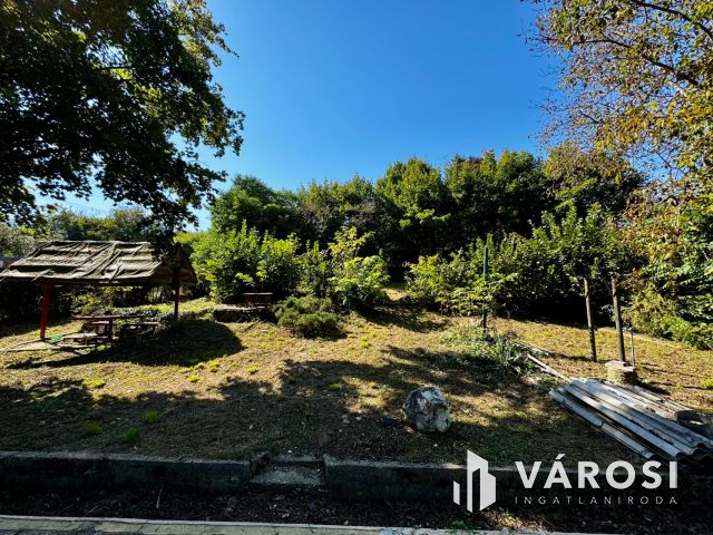 Telek, ahol az ötletek otthonra lelnek!