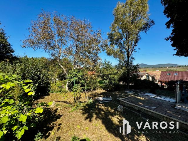 Telek, ahol az ötletek otthonra lelnek!