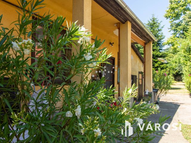 Sváb parasztház Pilisborosjenő szivében eladó