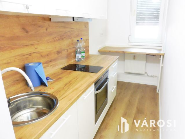 Igényes kis lakás üzleti tevékenységre kiadó.