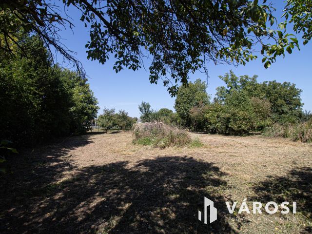 Saroktelek a szlovén határ mellett!