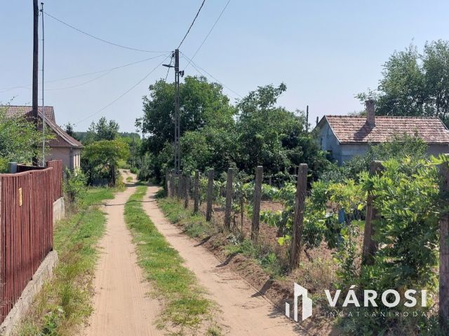 Nagy telek Debrecen, Biczó I kertben eladó
