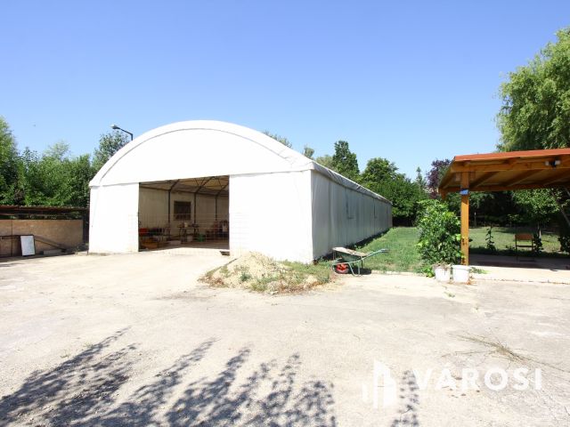 Szolnoki Ipari Parkban, profi helyiségben