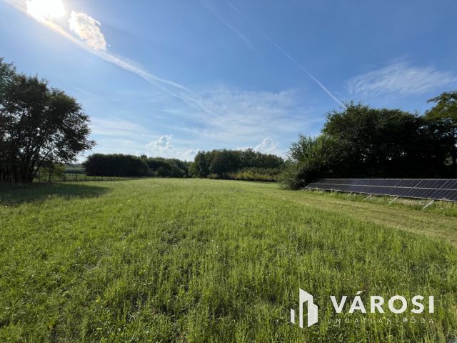 Debreceni 7,5 hektáros tanyagazdaság, csodás környezetben!!!