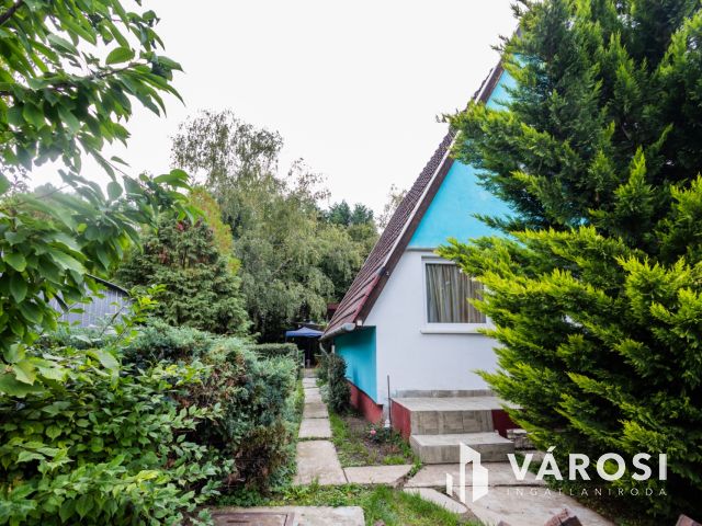 Kisház az erdő mellett