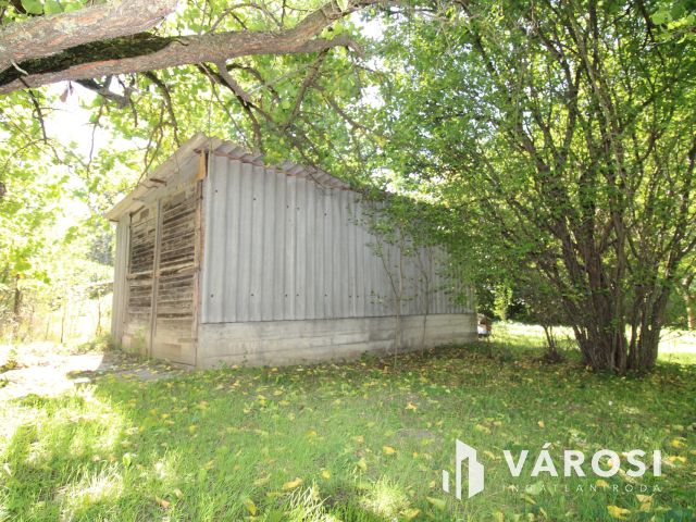 Nyaraló Gyula Szanazugban.