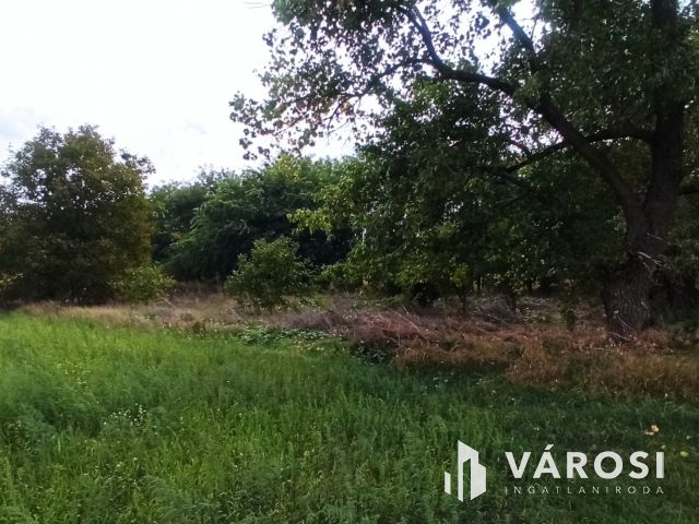 Befektetési telek Szigetszentmiklóson!