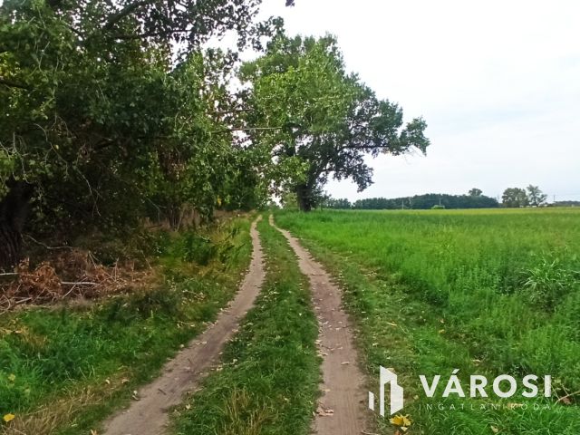 Befektetési telek Szigetszentmiklóson!