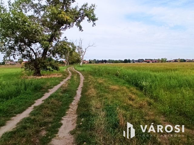 Befektetési telek Szigetszentmiklóson!