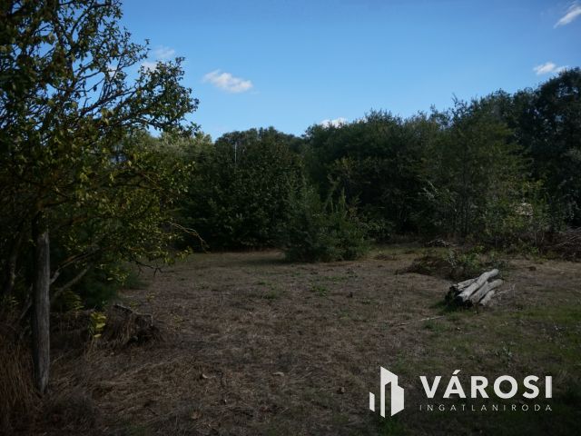 Ingatlan szinte ajándékba!