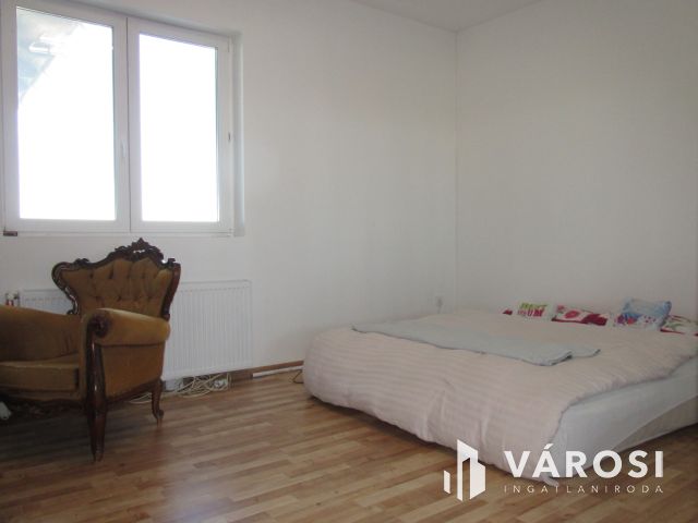 Új építésű nagy családi ház tágas telekkel