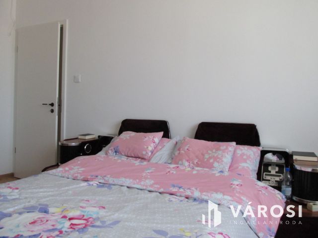 Új építésű nagy családi ház tágas telekkel