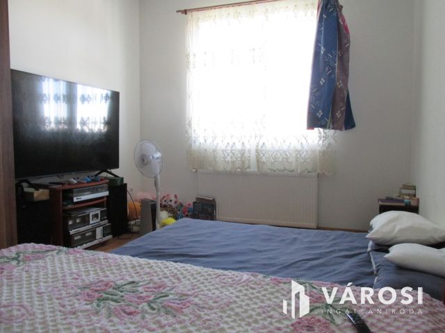 Új építésű nagy családi ház tágas telekkel