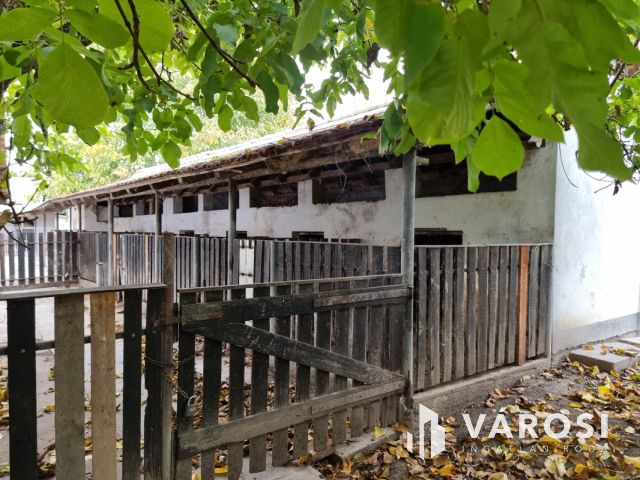 Vízpart közeli telken, kiváló szerkezetű tégla ház eladó