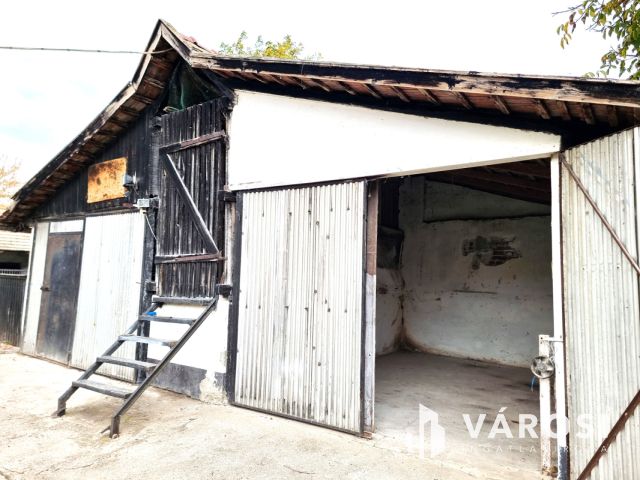 Vízpart közeli telken, kiváló szerkezetű tégla ház eladó