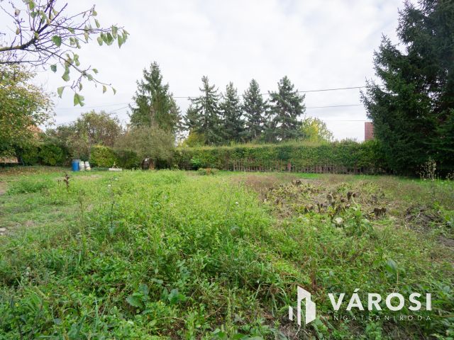 Családi ház a Holt-Duna partján, osztható telekkel!