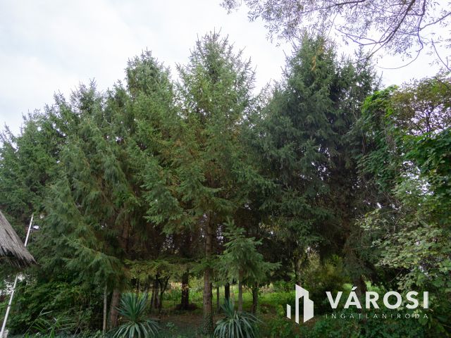 Családi ház a Holt-Duna partján, osztható telekkel!