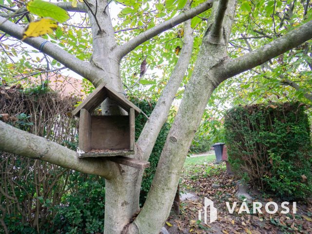 Családi ház a Holt-Duna partján, osztható telekkel!