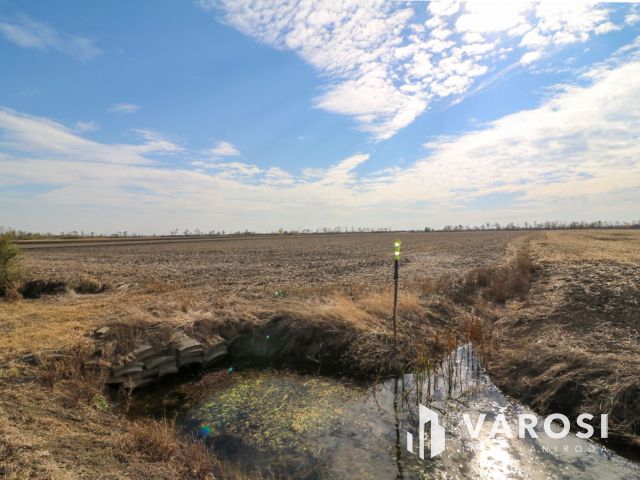 Eladó kiváló minőségű szántó Nagyszénás közelében!