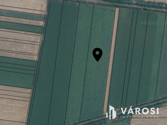 Eladó kiváló minőségű szántó Nagyszénás közelében!