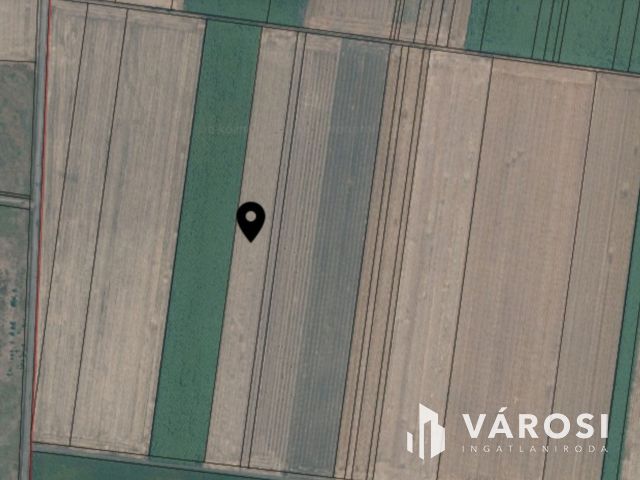 Eladó szántó Nagyszénás közelében