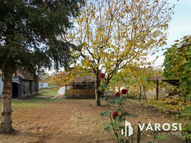 Eladó 3 szobás családi ház Újkígyóson, rendezett kerttel