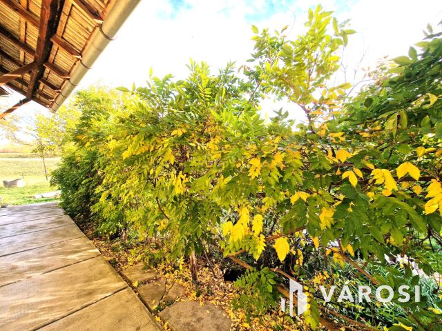 Hangulatos, száraz vályogház, KÖRÖS-PARTI panorámával