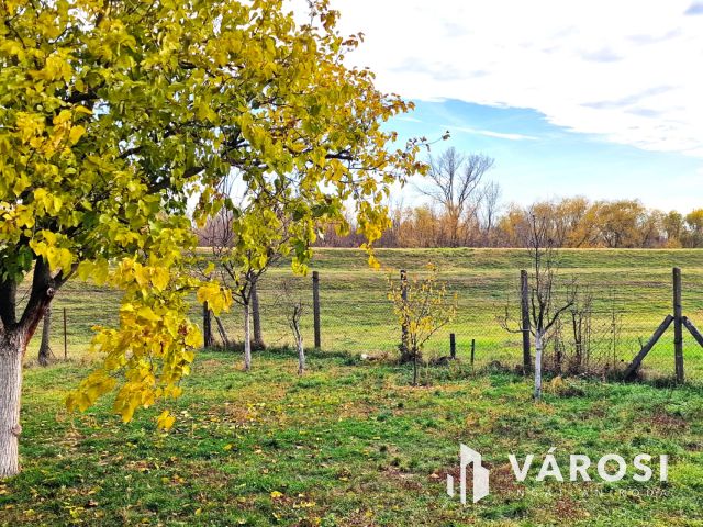 Hangulatos, száraz vályogház, KÖRÖS-PARTI panorámával