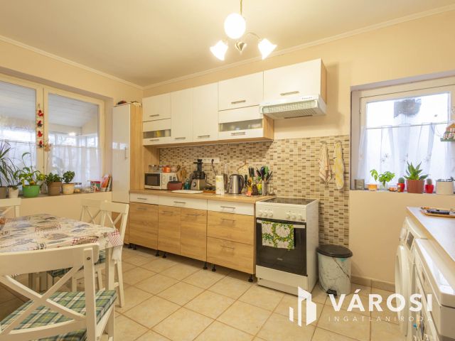 Baktói családi ház garázzsal és nagy telekkel