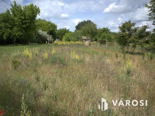 Sándorfalvi zárt kert