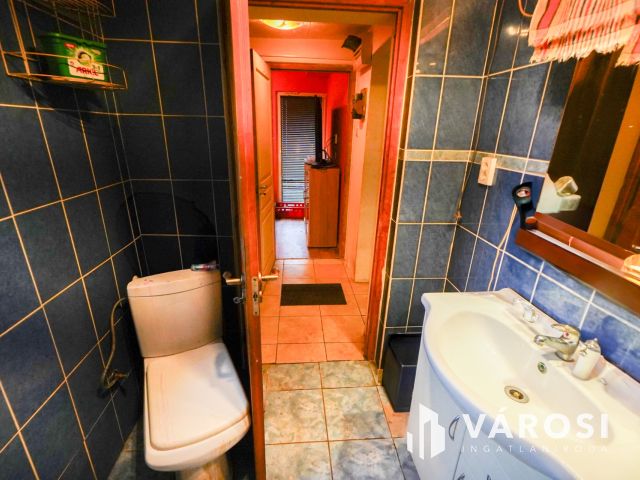 Vácon családi ház a tavak közelében!