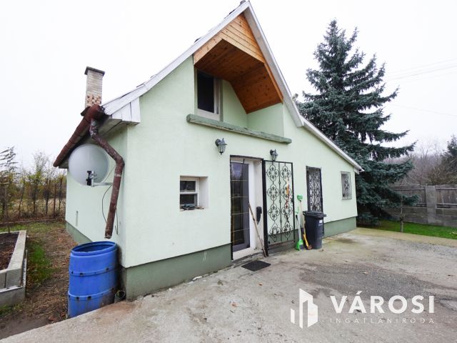 Vácon családi ház a tavak közelében!