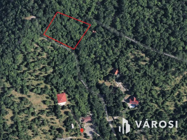 Panorámás telek eladó Szentendrén