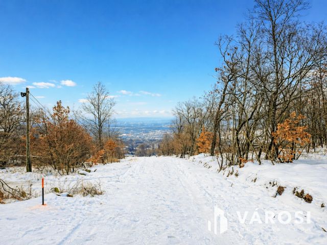 Panorámás telek eladó Szentendrén