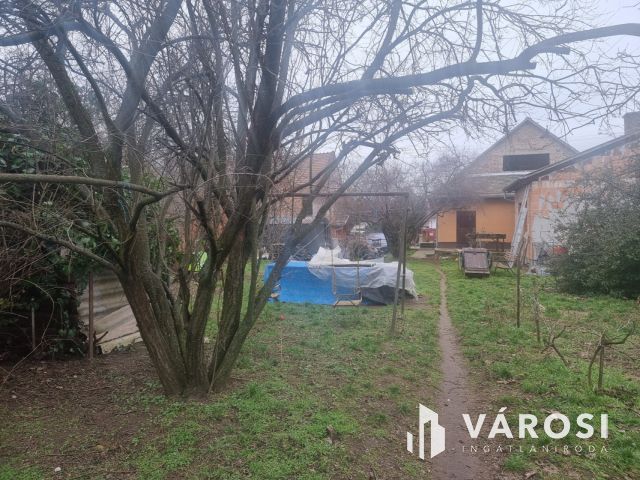 Hatalmas telek Vecsés közkedvelt részén!