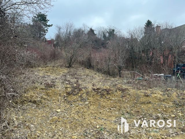 Zártkerti telek Békásmegyer felett!