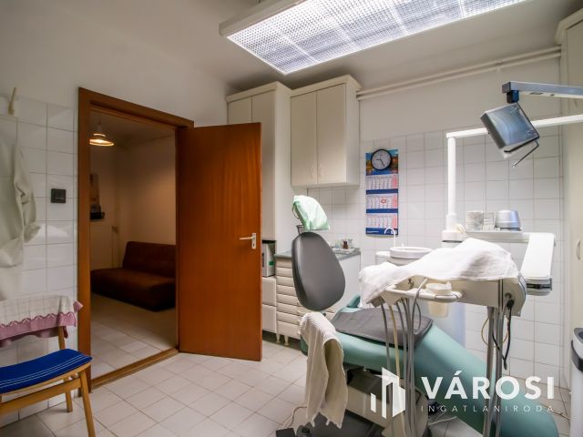 Családi ház nagycsaládnak, ingatlanfejlesztőknek