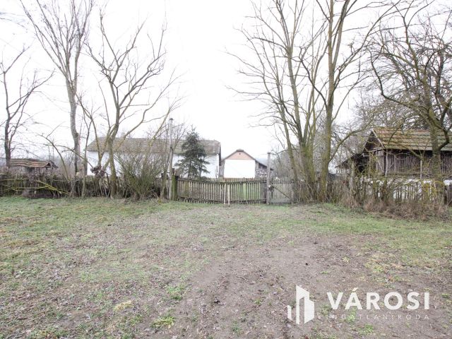 Szeretne passzív jövedelmet dióból?