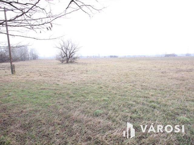 Szeretne passzív jövedelmet dióból?