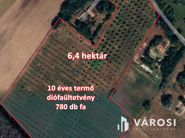 Szeretne passzív jövedelmet dióból?