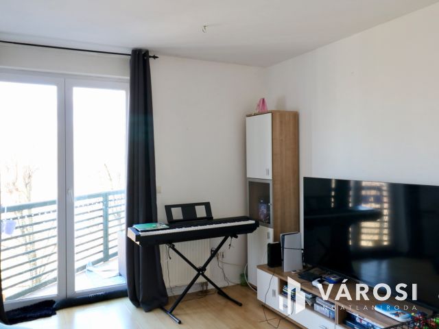 Tóparti lakás Vizivárosban, amely befektetésnek is tökéletes