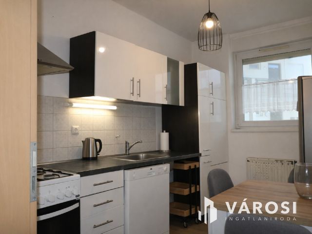 Tóparti lakás Vizivárosban, amely befektetésnek is tökéletes