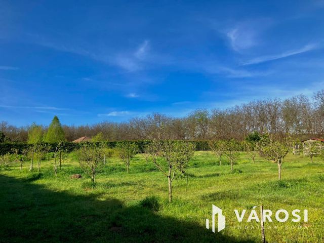 Álombirtok Pesthez közel