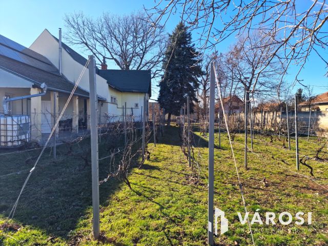 Hangulatos vidéki kúria a Sebes-Körös közelében