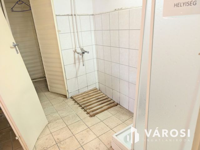 Ház + üzlet vagy 2 lakás?